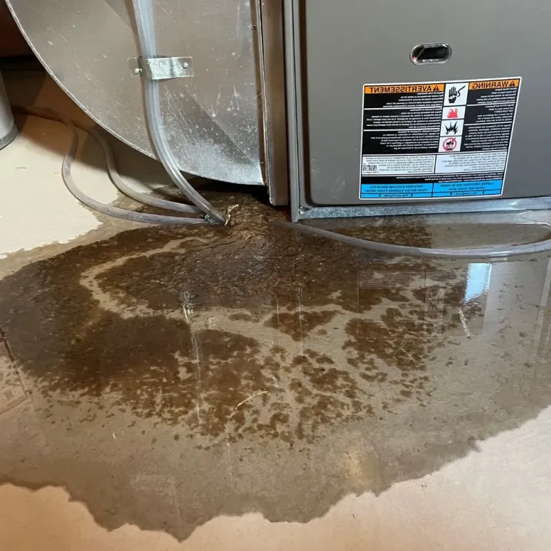 Pipe Burst and Leak Restoration in Tillamook County, OR