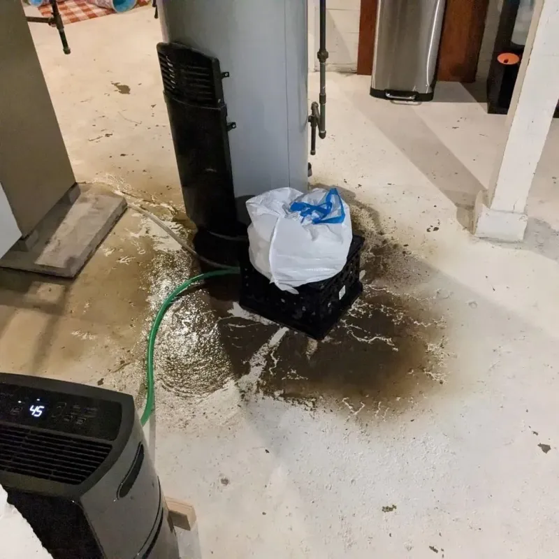 Sewage Backup Cleanup Service in Tillamook County, OR
